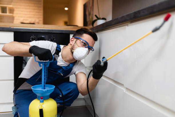 Best Pest Control for Homes  in Sandstone, MN