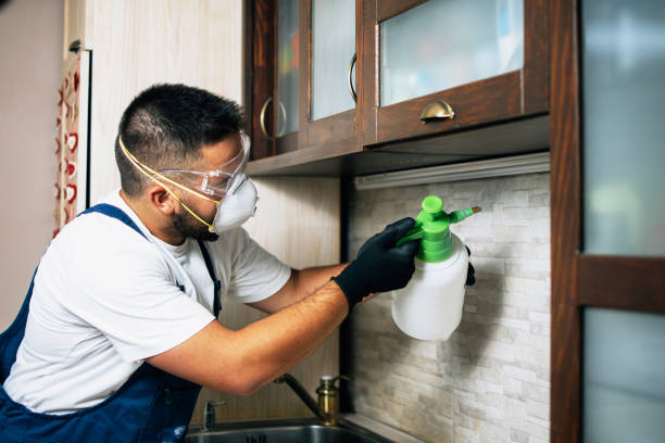 Best Affordable Pest Control Services  in Sandstone, MN