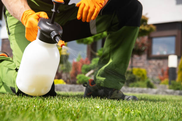 Best Pest Removal Services  in Sandstone, MN