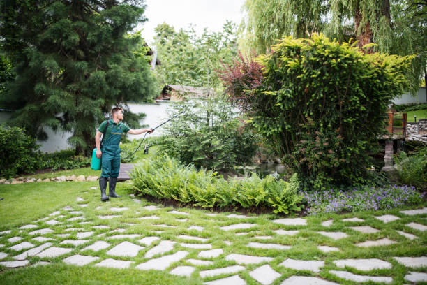 Best Mosquito Control Services  in Sandstone, MN