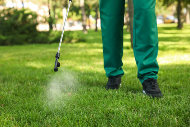 Best Pest Removal Services  in Sandstone, MN