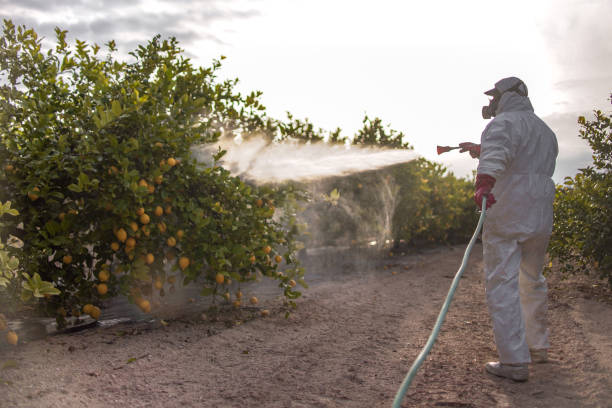 Best Exterminator Services  in Sandstone, MN