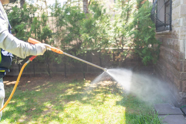 Best Best Pest Control Companies  in Sandstone, MN