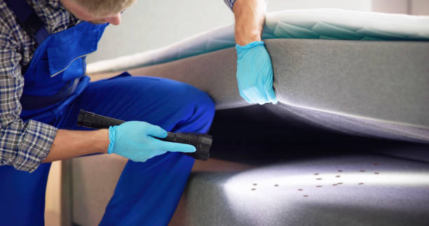 Trusted Sandstone, MN Pest Control Experts
