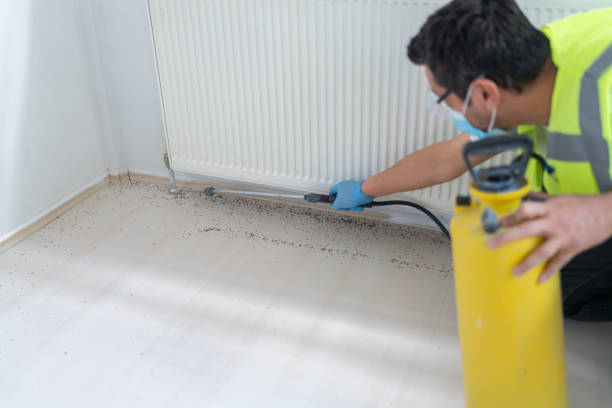 Best Emergency Pest Control  in Sandstone, MN