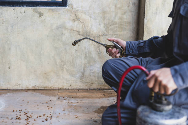 Best Rat Extermination Near Me  in Sandstone, MN